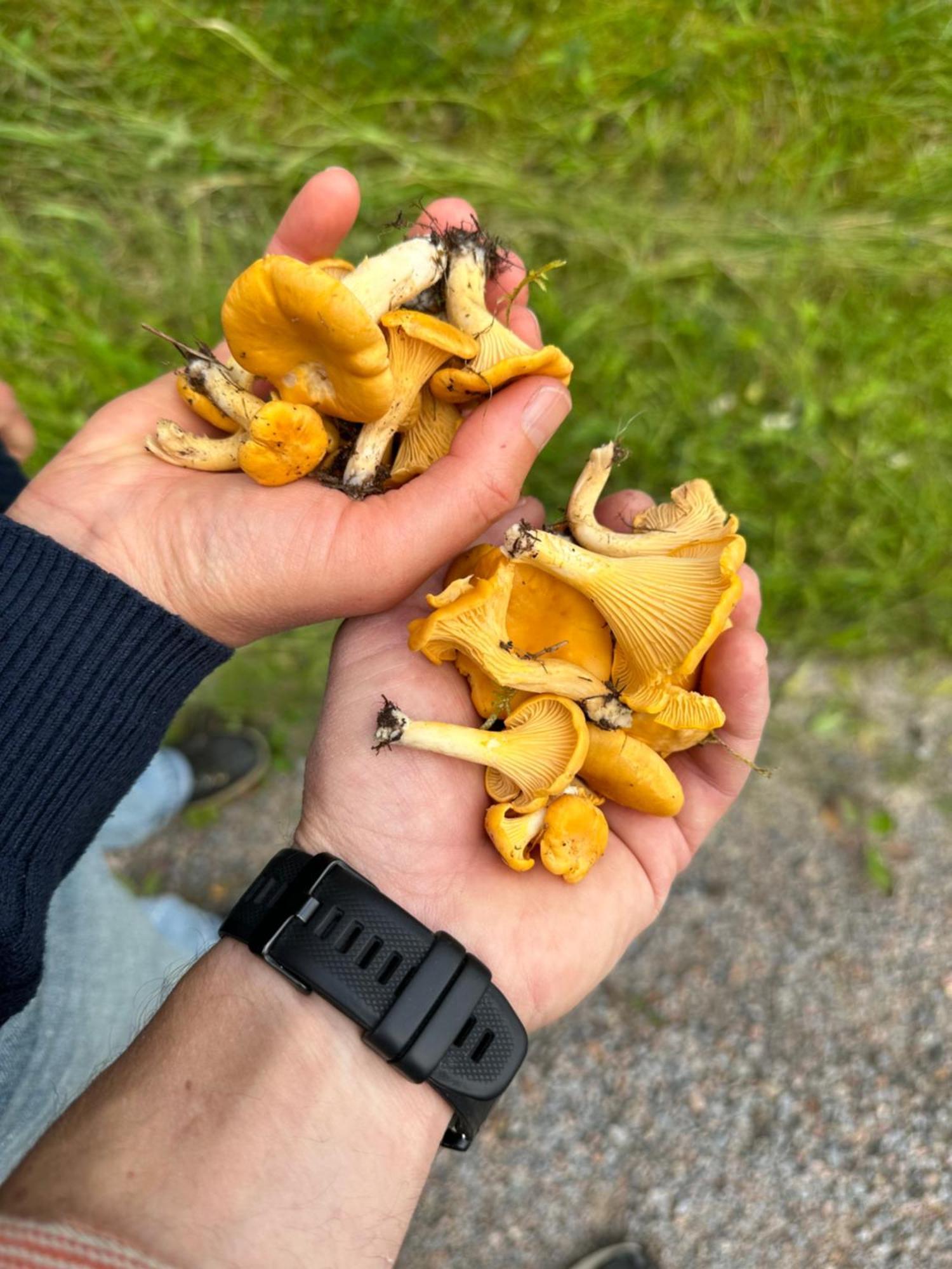 Hagbards By Gårdspensionat Sloinge Eksteriør billede